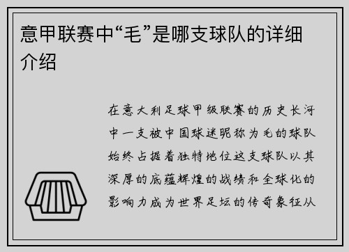 意甲联赛中“毛”是哪支球队的详细介绍